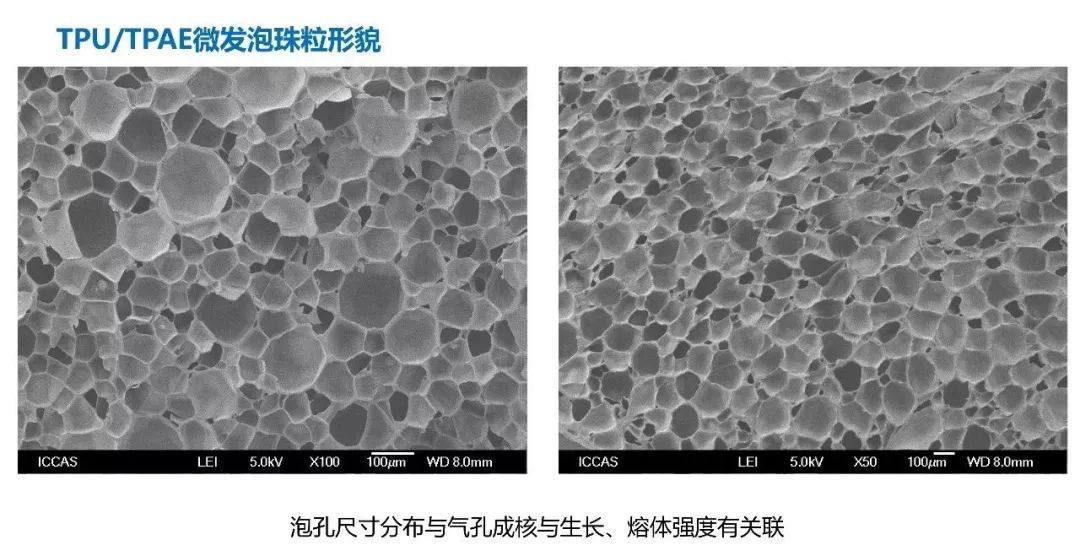 中科院化学所朱平博士：热塑性弹性体以及在鞋材中底的应用（视频）