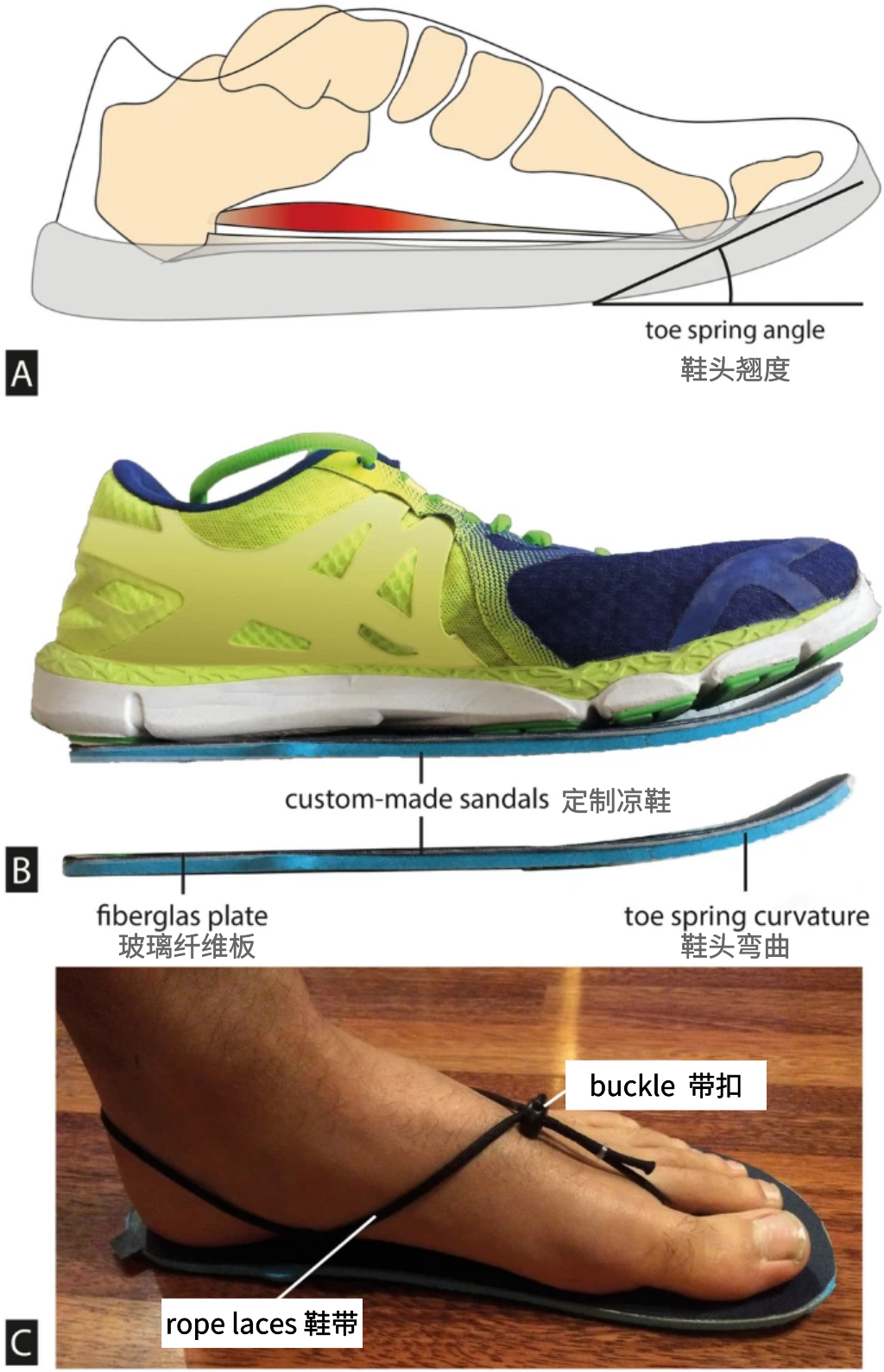 研究方向 | 鞋尖翘度对人体步行生物力学的影响
