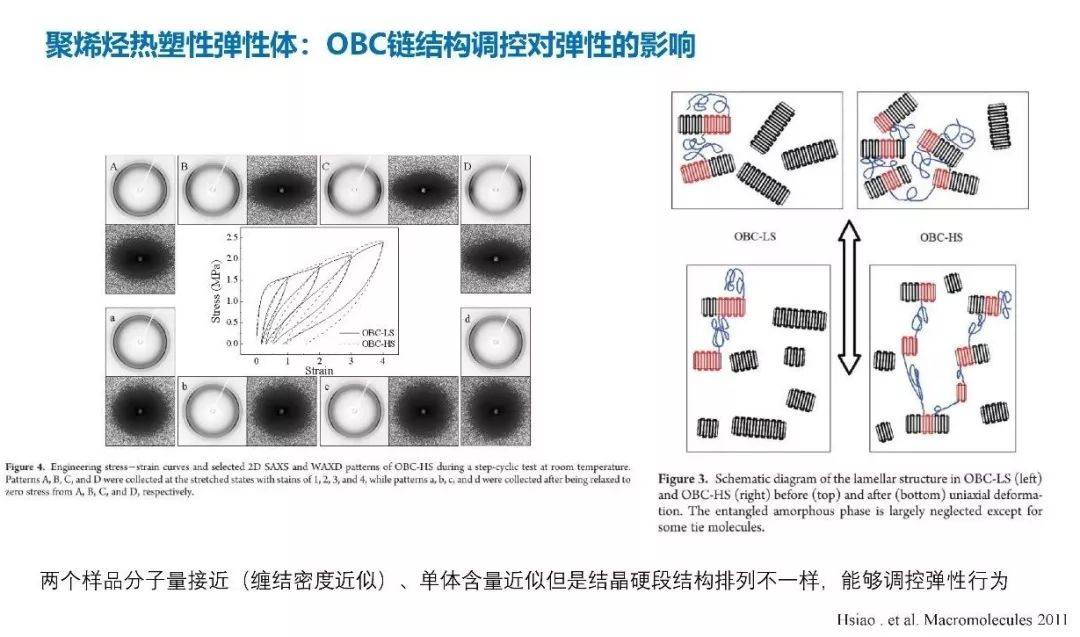 中科院化学所朱平博士：热塑性弹性体以及在鞋材中底的应用（视频）