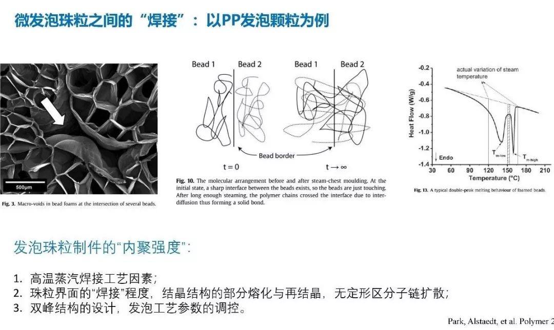 中科院化学所朱平博士：热塑性弹性体以及在鞋材中底的应用（视频）