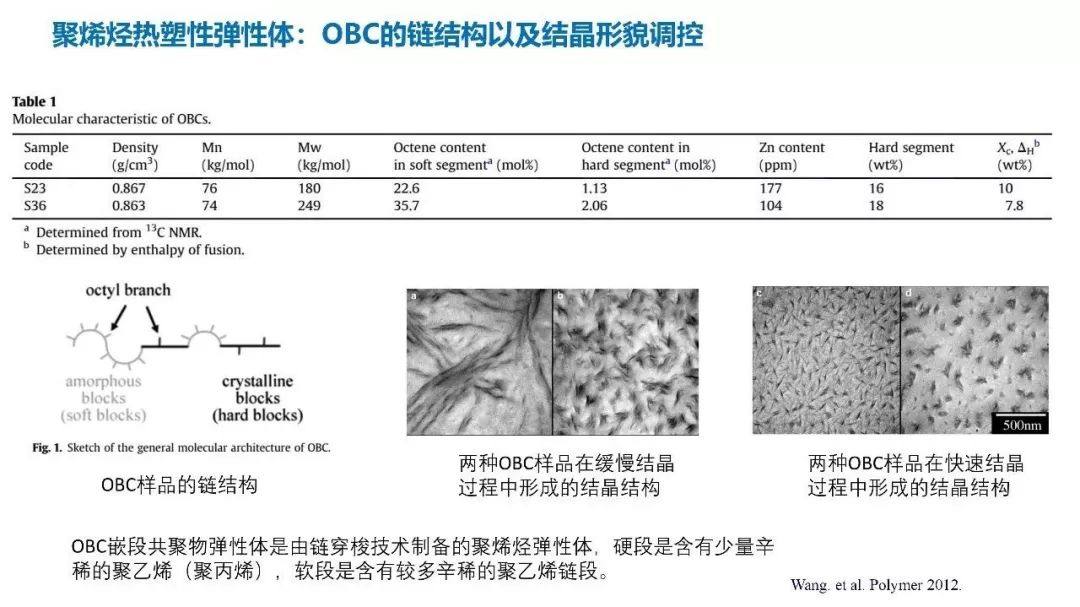 中科院化学所朱平博士：热塑性弹性体以及在鞋材中底的应用（视频）