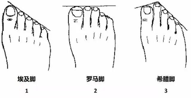 希腊脚、埃及脚、罗马脚？知道区别帮你选对球鞋_脚型